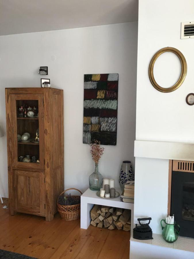 Casa Delia Appartement Laslea Buitenkant foto